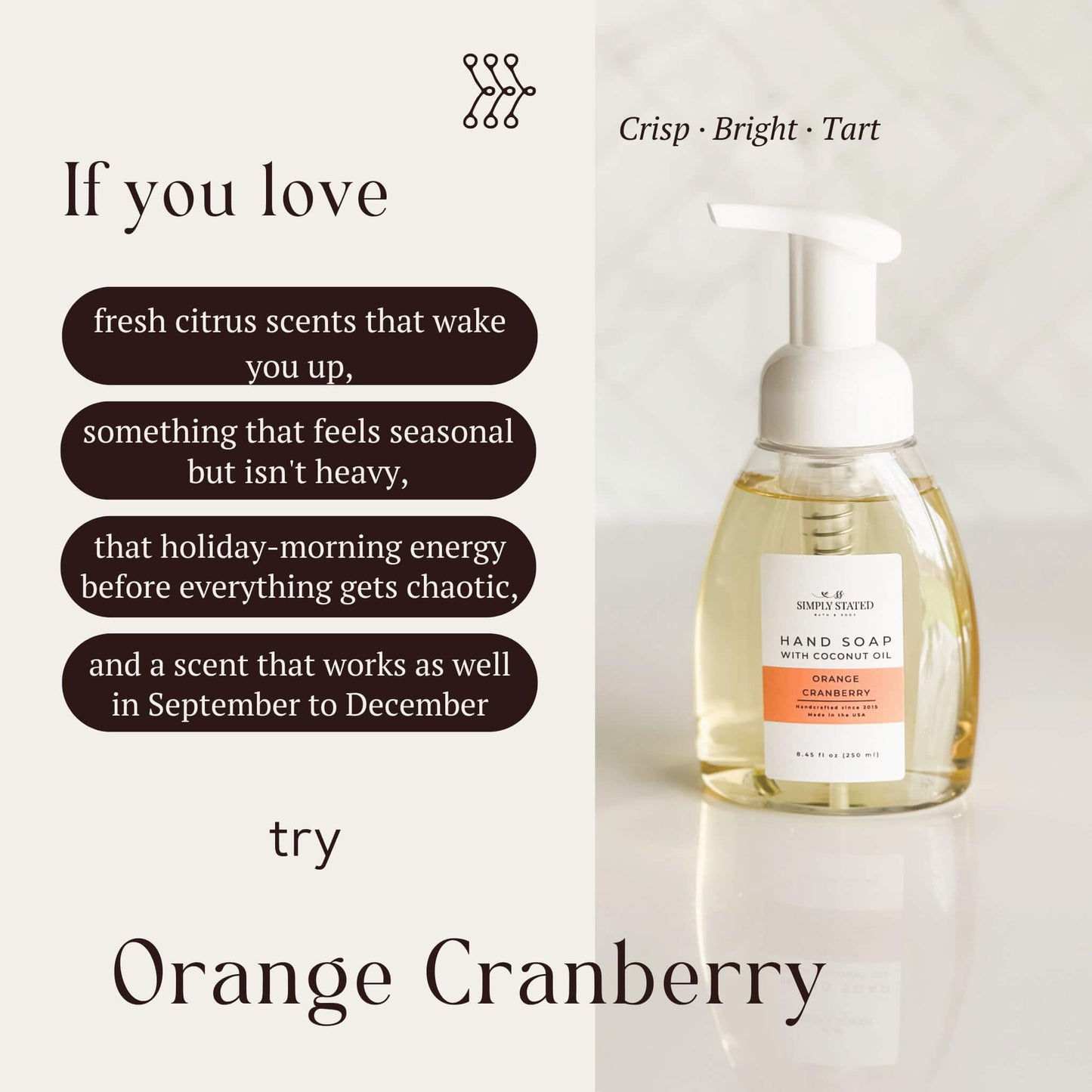 Orange Cranberry Foaming Hand Soap | Fall Collection